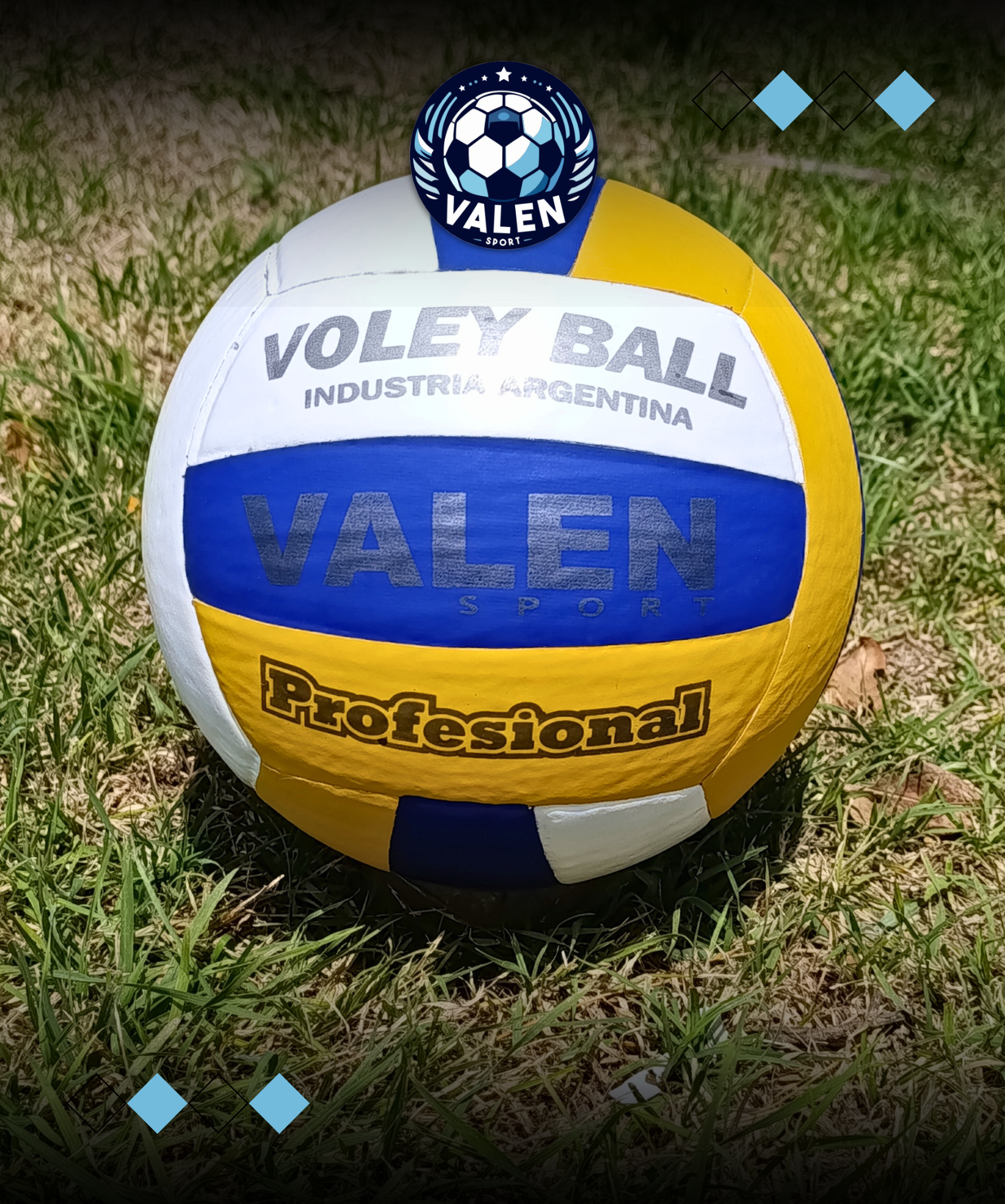 PELOTAS DE VOLEYBALL N°5 - PROFESSIONAL