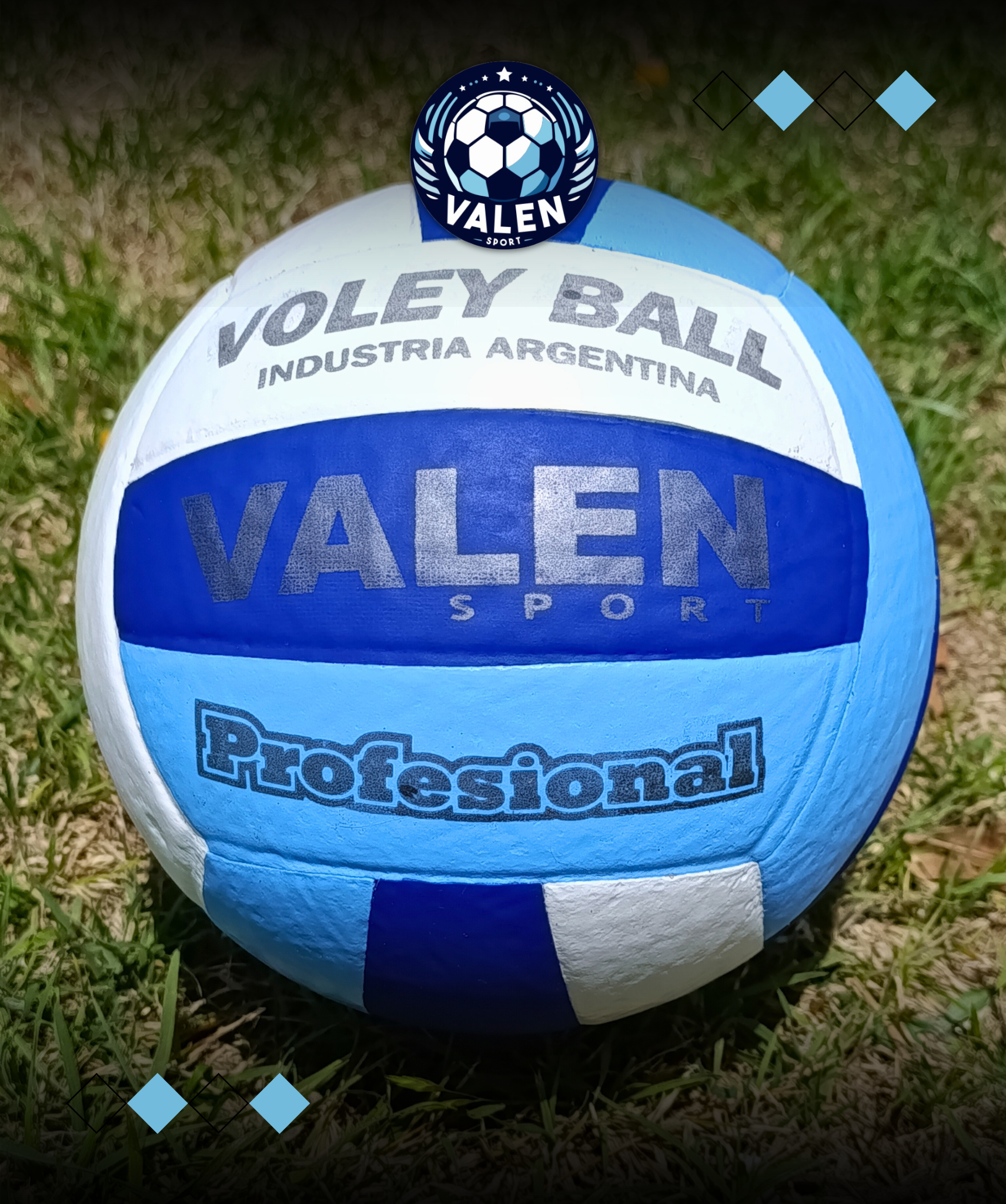 PELOTAS DE VOLEYBALL N°5 - PROFESSIONAL - Image 3