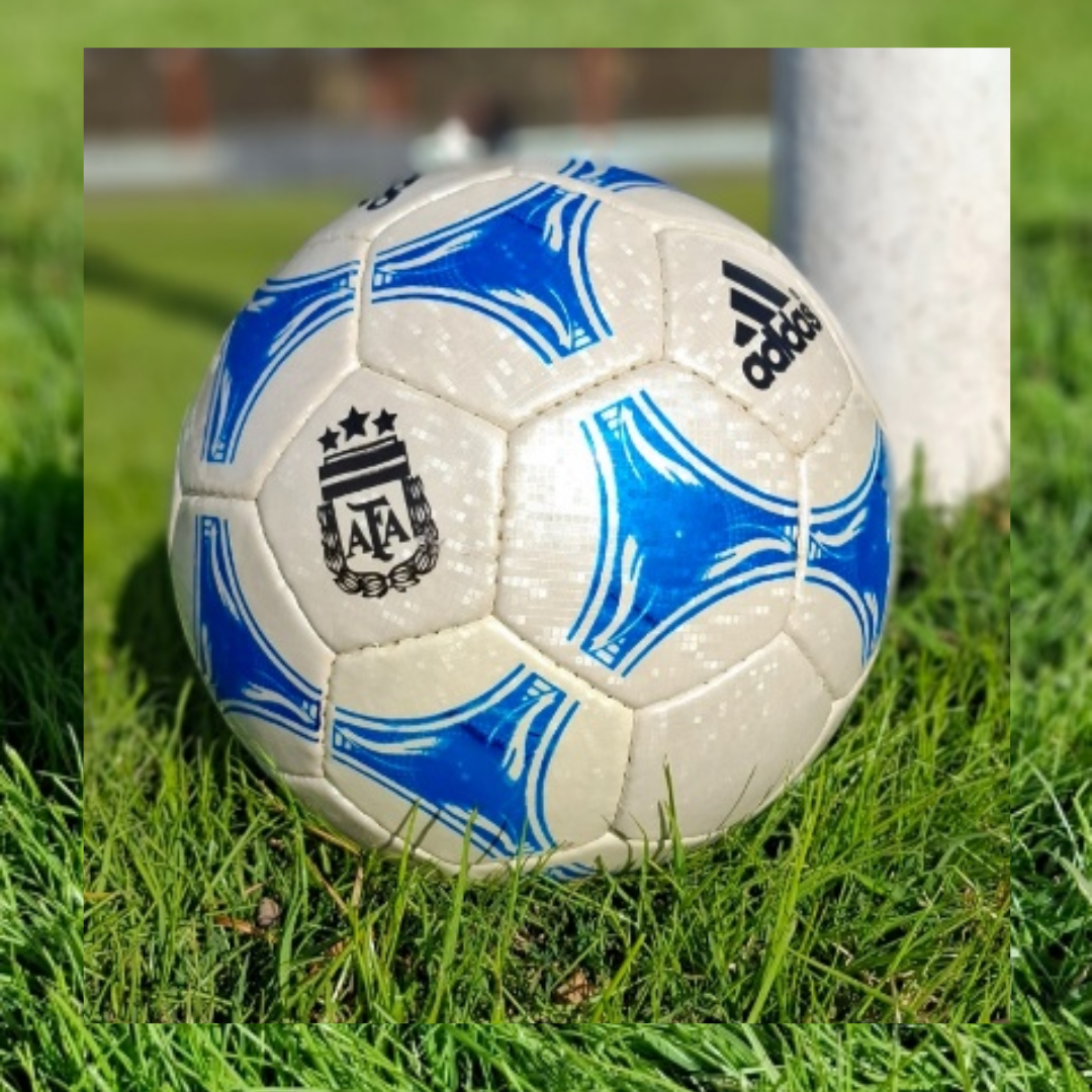 PELOTA DE FÚTBOL N°5 SIMIL MUNDIAL FRANCIA 98 - $ 35.000,00