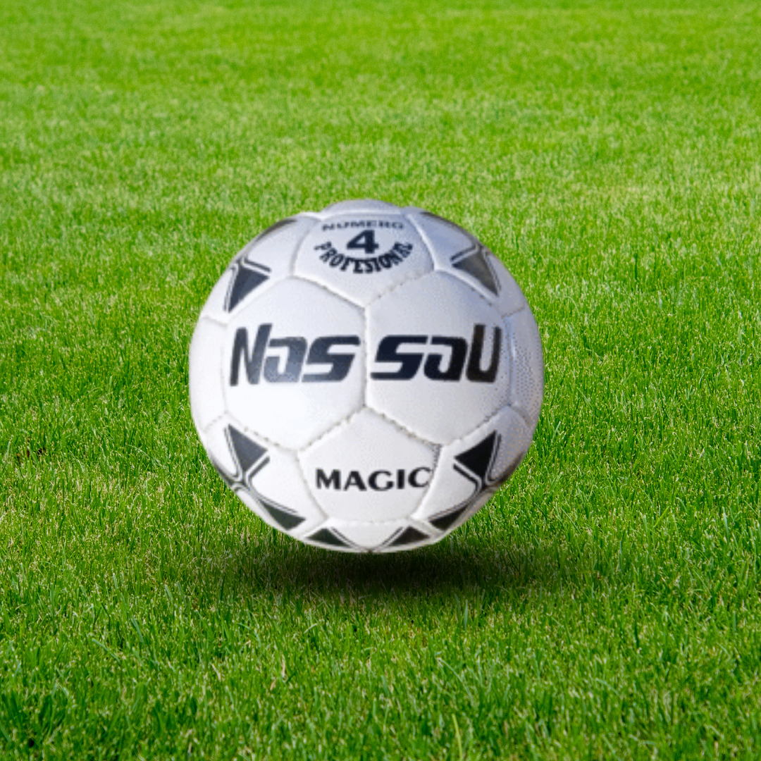 PELOTA DE FUTBOL N°4 DE PVC