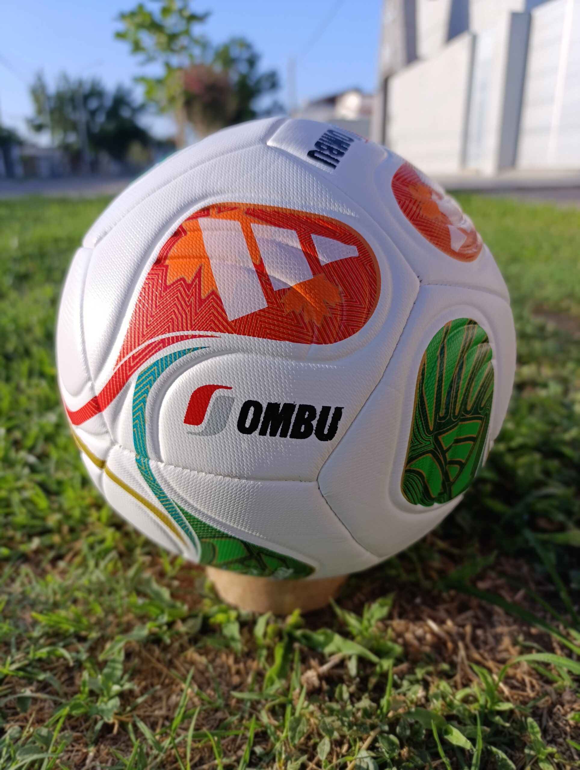 PELOTAS PERSONALIZADAS - Image 6