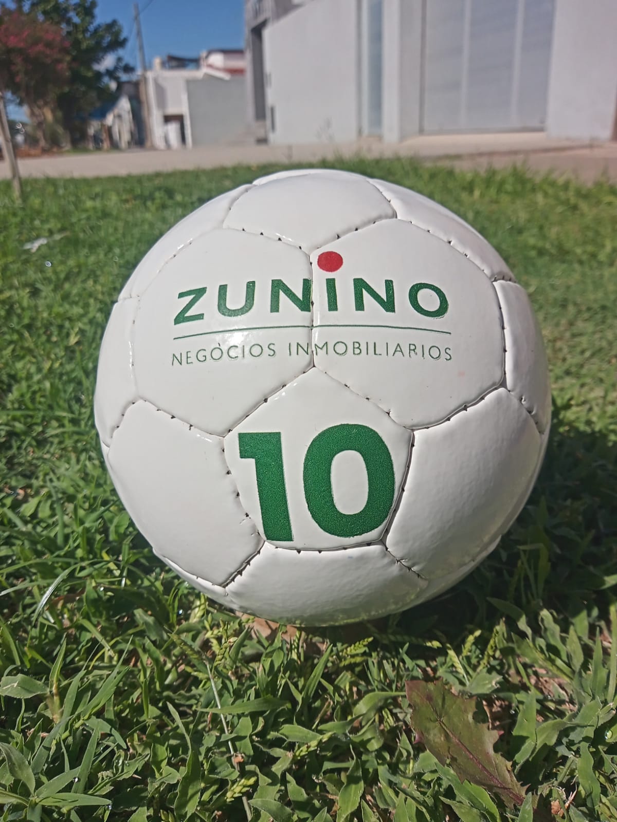 PELOTAS PERSONALIZADAS - Image 9
