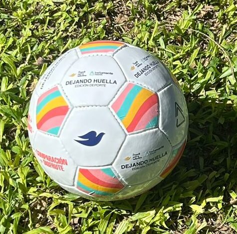 PELOTAS PERSONALIZADAS - Image 10