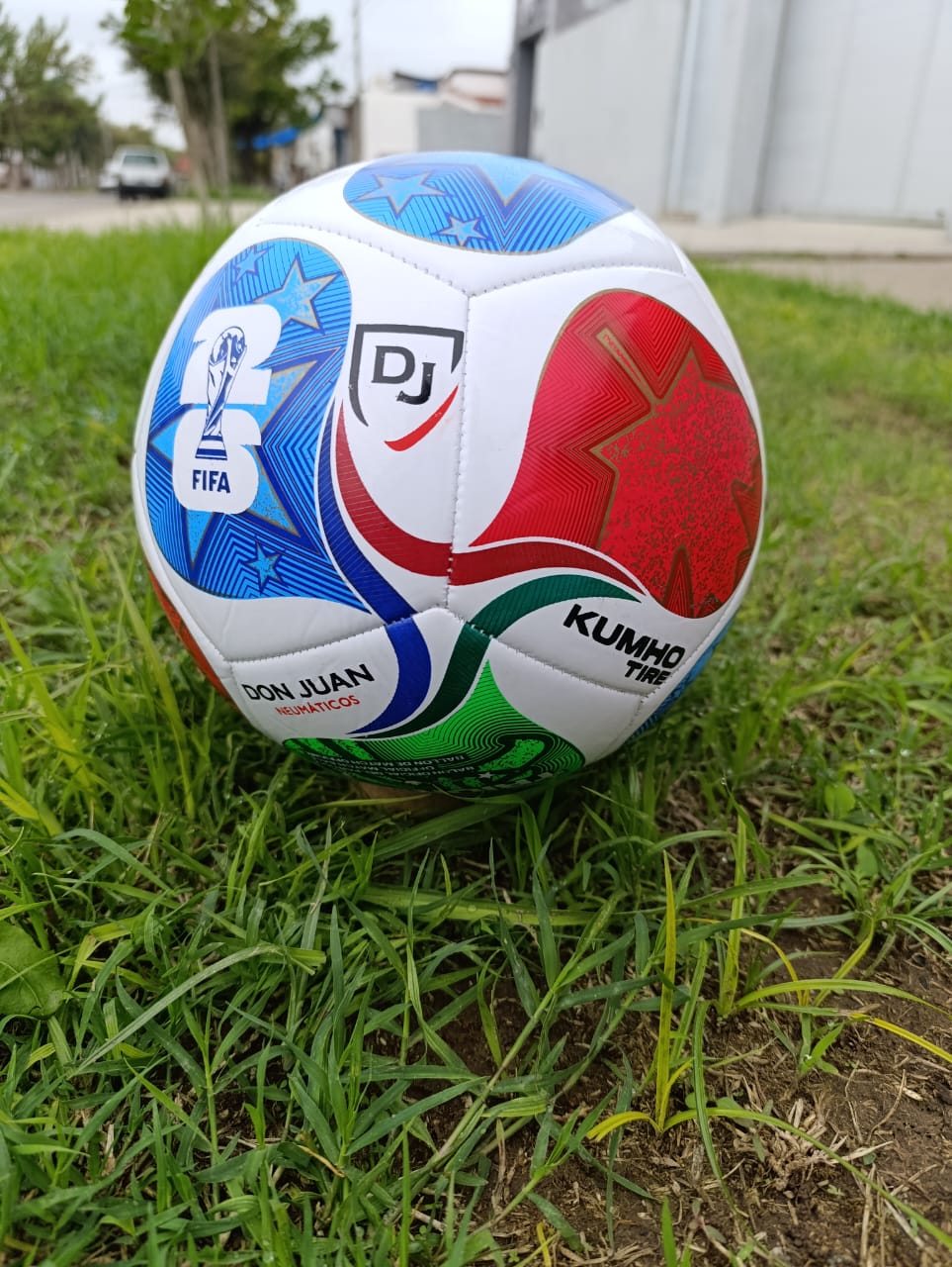 PELOTAS PERSONALIZADAS - Image 11