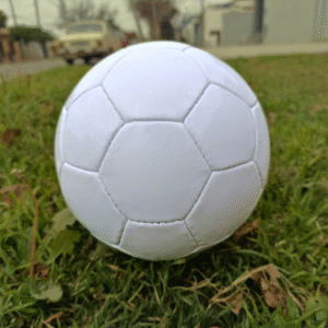 PELOTA DE FÚTBOL PROFESIONAL LISA N° 5 — VALEN SPORT